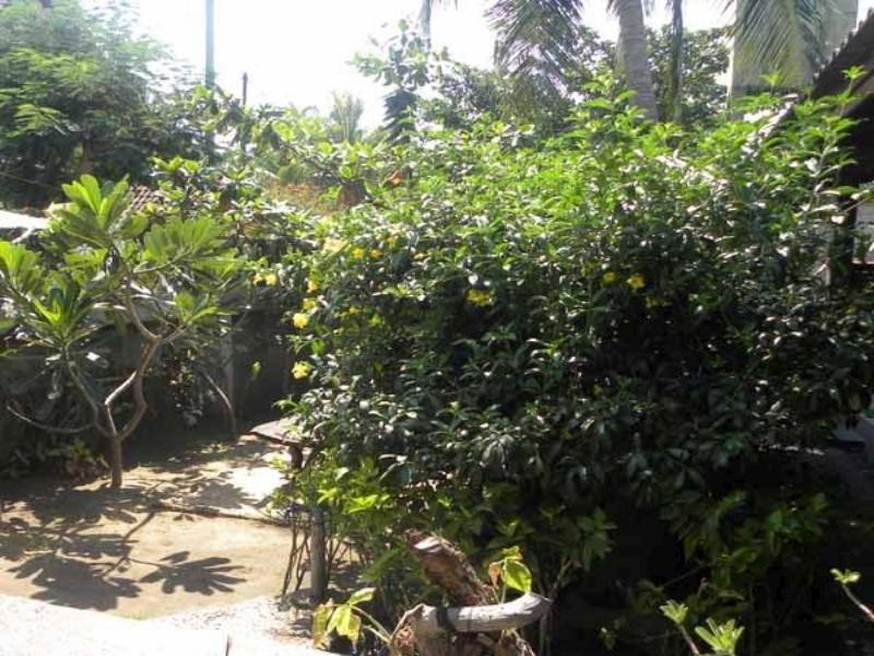 Malino Homestay Gili Trawangan Zewnętrze zdjęcie